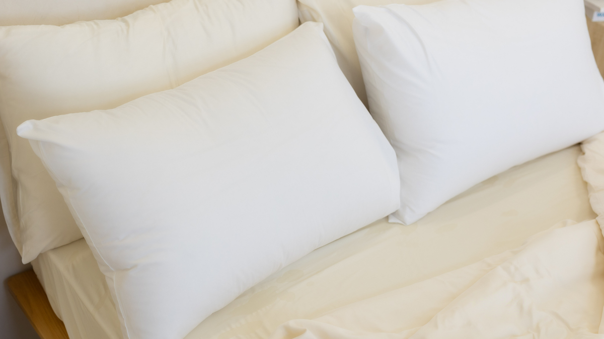 Pillow Insert